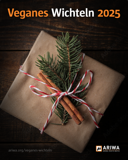 Ein verpacktes Geschenk mit rot-weißem Schleifenband, dekoriert mit einem Tannenzweig und zwei Zimtstangen. Darüber steht geschrieben: "Veganes Wichteln 2025". Unten rechts ist das Logo von ARIWA.