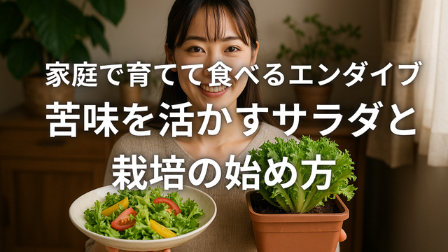 家庭で育てて食べるエンダイブ 苦味を活かすサラダと栽培の始め方