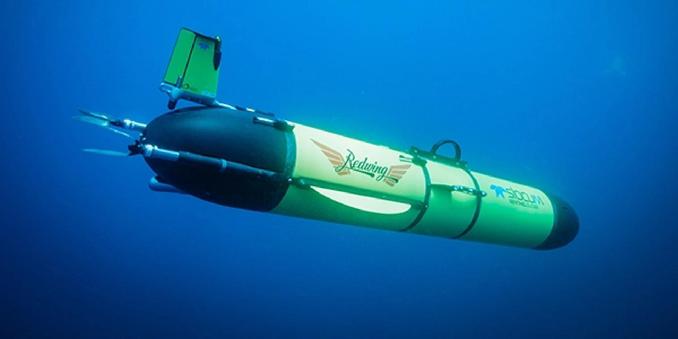 Image of the Seaglider in the ocean 