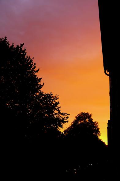 Leuchtend oranger Sonnenaufgang. Im Vordergrund dunkle Bäume und Hauswand