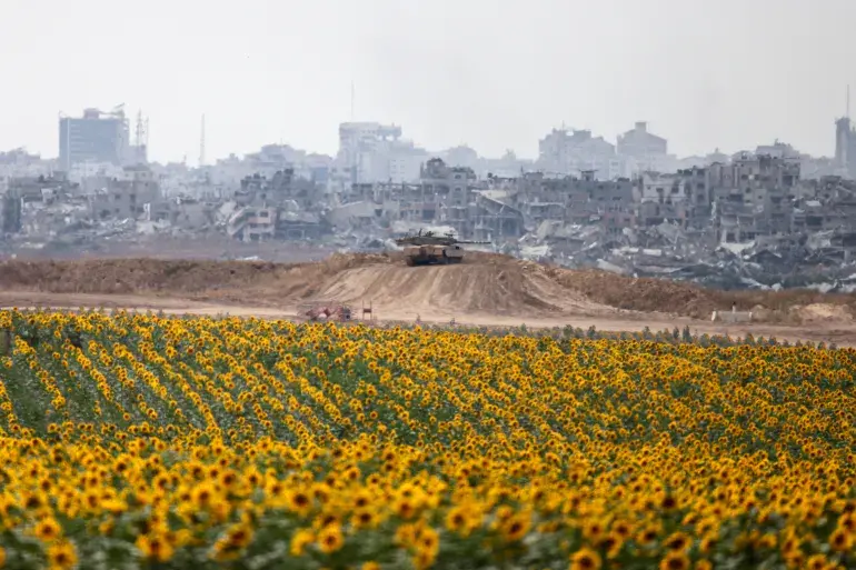 Sunflowers - Gaza seen from Israel, June 2024
Menahem Kahana
