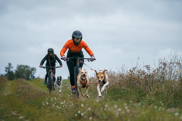 Ein Mensch mit zwei Hunden am Dogscooter fährt einen Feldweg entlang. Die Hunde laufen in vollem Galopp, die Mäuler weit aufgerissen, die Ohren fliegen. Im Hintergrund sieht man ein weiteres Hund-Mensch-Team am Bike.