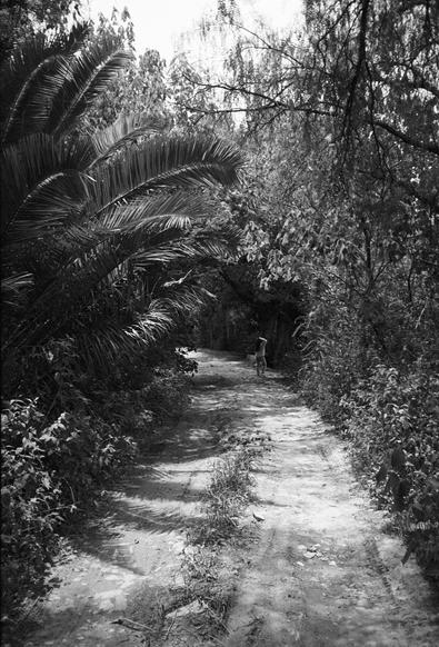 Photo en N&B d'un chemin de terre, au milieu d'une végétation dense. Au loin dans un tournant, une enfant attend, et le chemin disparait dans la végétation.