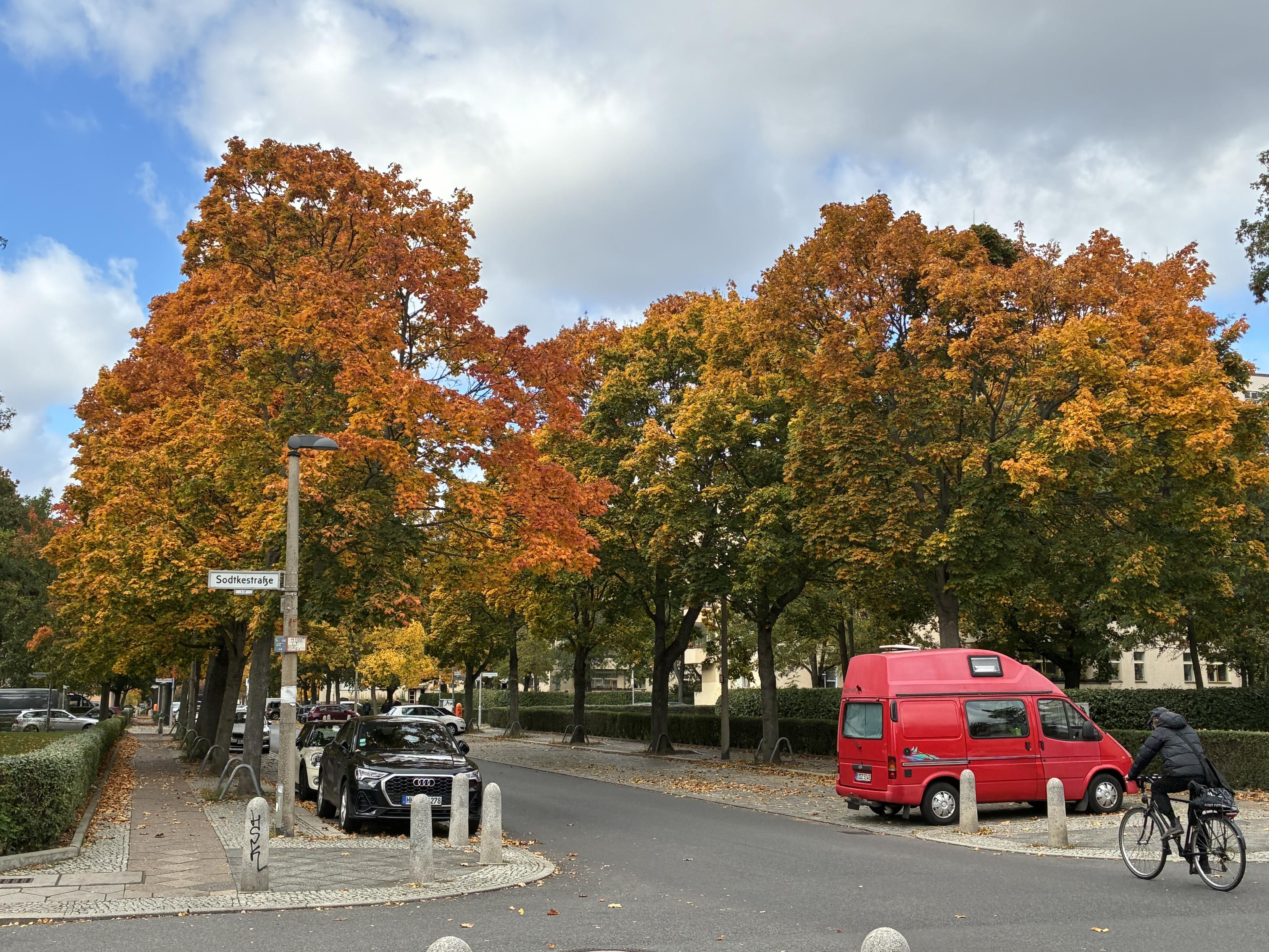 Autumn trees with colorful leaves along a street in Berlin.