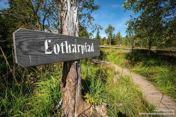 A close-up photo of a sign mounted on a tree stump in a natural outdoor setting. The image shows a wooden path cutting through tall grass, leading up to the tree stump. The tree stump is surrounded by lush greenery, with a tree in the background with green leaves. The sign appears weathered and worn, possibly indicating directions or information for visitors. The color palette of the scene is predominantly grey, with accents of blue in the sky. The overall atmosphere suggests a peaceful nature …