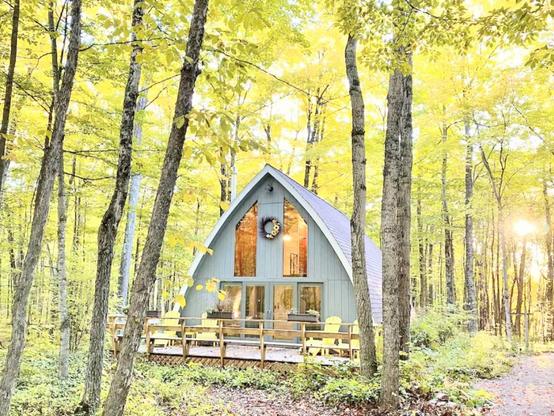 A beautiful rounded A-frame house that is all light grey!*& In the woods in a gorgeous Autumn setting*& very peaceful looking 