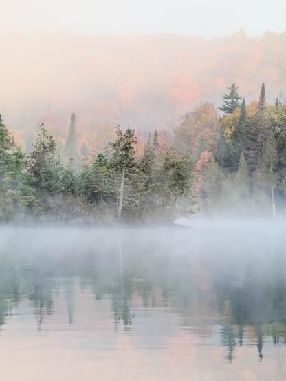A tranquil lake scene shrouded in fog, featuring lush trees reflecting autumn hues.