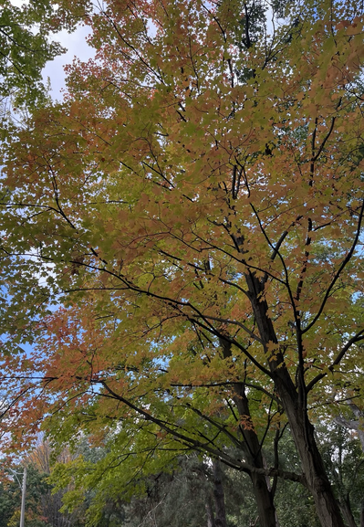 Colours in the sky