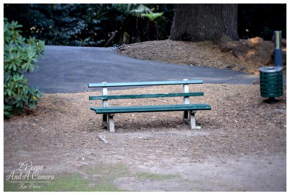 A slightly faded, dark green wooden bench with white or light gray concrete legs sits centrally on a patch of light brown dirt and wood chips.

A dark asphalt path curves behind the bench, leading toward the dark trunks of large trees and dense foliage in the background.

The photo has a soft, shallow depth of field, with the bench in focus. Signed by Kev Peirce.