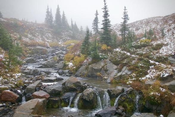 A misty landscape featuring a stream flowing over rocks, surrounded by evergreen trees and autumn-colored foliage. Snow can be seen on the ground, creating a serene, tranquil scene.