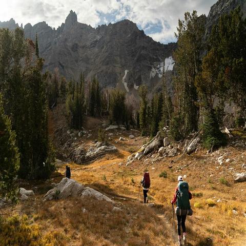 Hikers exploring mountain trails in National Parks East Coast USA surrounded by pine trees and rocky peaks