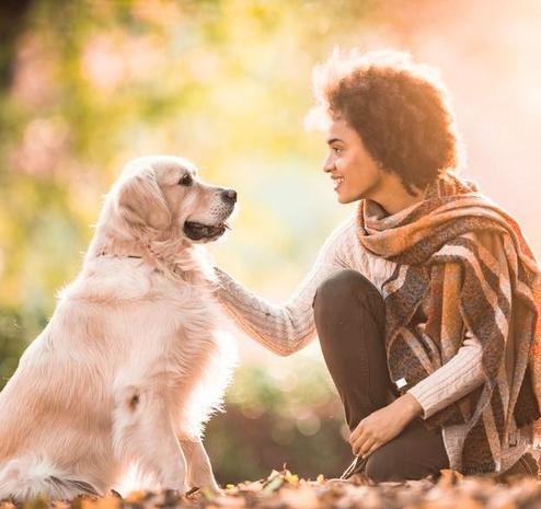 A beautiful woman kneeling petting her gorgeous white dog in a colorful autumn scene in a park 