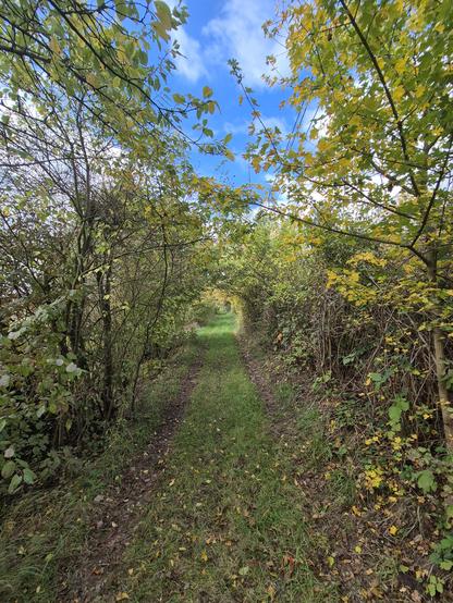 Feldweg