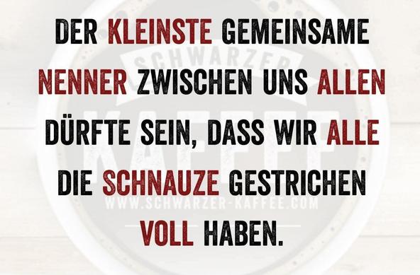 www.teamkopfkrank.de