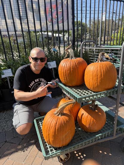 Me squatting by a shopping basket full of pumpkins. 