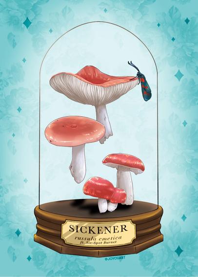 Several glossy red-capped mushrooms with white stems floating inside a glass terrarium. There is a teal moth with bright red spot climbing atop the large mushroom.