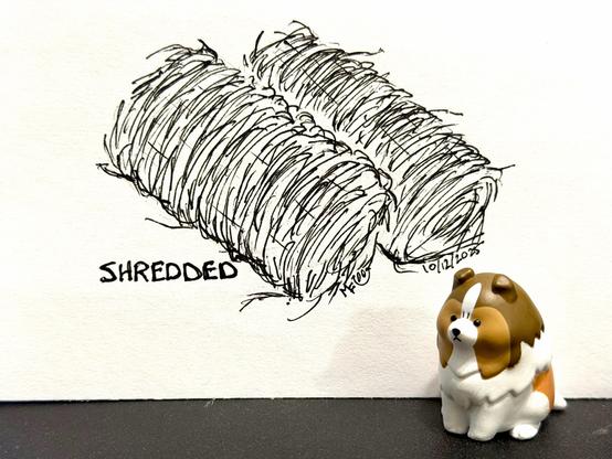 Inktober 2025 day 12: Shredded. An ink drawing of two biscuits of shredded wheat, consisting mostly of sketchy lines. An Angry Sheltie figurine props up the paper the drawing is on.