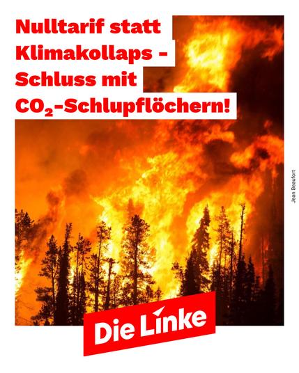 Ein großflächiger Wald steht in hellen, orangefarbenen Flammen. Dichte Rauchschwaden steigen in den grauen Himmel auf, während die Hitze der Flammen in der Luft flimmert. Im Vordergrund liegen verkohlte Baumstämme und verbranntes Laub, der Boden ist schwarz und aschebedeckt. Die Atmosphäre wirkt apokalyptisch – Sinnbild für die eskalierende Klimakrise.

Über dem Bild steht in großer, roter und fettgedruckter Schrift der zentrale Slogan: „Nulltarif statt Klimakollaps – Schluss mit CO₂-Schlupflöchern!“ Die Aussage prangert falsche Klimapolitik und das Freikaufen durch CO₂-Zertifikate an und fordert stattdessen soziale, klimafreundliche Lösungen wie kostenlosen öffentlichen Nahverkehr.

Unten rechts ist das rote Logo von Die Linke zu sehen, das den politischen Absender markiert und den kämpferischen Charakter der Botschaft unterstreicht.
