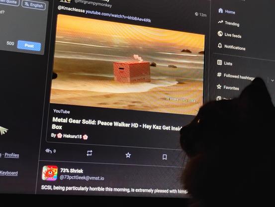 Image of Goobie [cat] watching Snakes and Master Millers box interaction from the video game Metal Gear Solid Peace Walker.