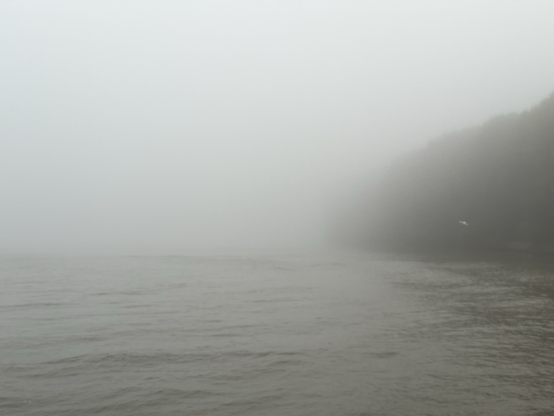 Schemenhaft zu erkennendes Ufer an der Elbe. Darüber dichter Nebel.