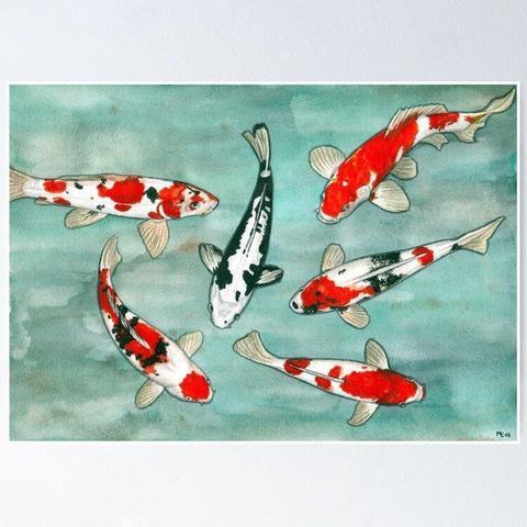 Poster d'une aquarelle intitulée "Le ballet des carpe koï"