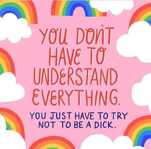 Pink background with rainbows and clouds around the edges. In the middle there's red and blue writing, that says "You don't have to understand everything. You just have to try not to be a dick."
