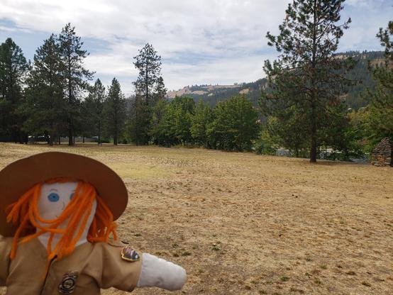 Ranger Sarah looks at Canoe camp where for 11 days in 1805 the Corps of Discovery camped here in the company of Nez Perce while building five canoes for the journey to the Pacific.
— in Orofino, ID.