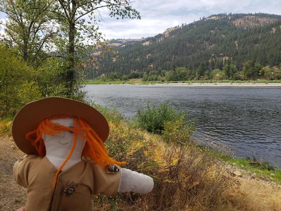 Ranger Sarah looks down stream on the Clear Water River from the Canoe Camp site.
— in Orofino, ID.