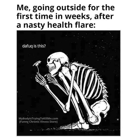 Me, going outside for the first time in weeks, after a nasty health flare: dafuq is this?

[skeleton looking at a flower while kneeling]

