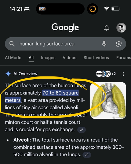 Human lung's surface area is roughly 70-80 square meters!