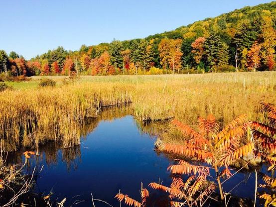 fall usa