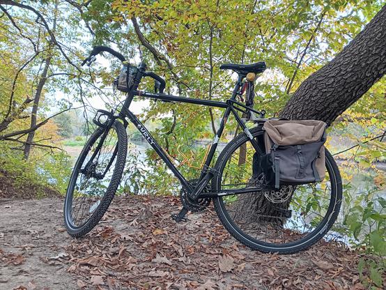 Black bicycle leaning against a tree alongside a river and dirt trail.