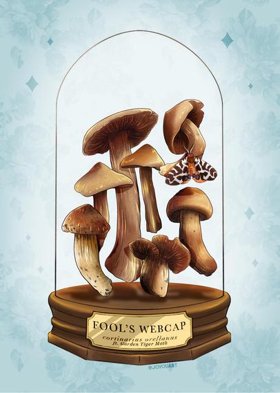 A few brown-colored mushrooms floating inside a glass dome terrarium. There is also a white and brown spotted moth climbing atop on of the floating mushrooms.