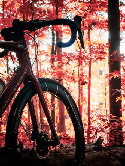 Photo of a red BMC Roadmachine road bike standing in a beautiful autumn forest. The bike is dark because it is back lit by the sun shining through trees in the background. Behind the bike is a wall of red and yellow, and orange leaves with a patchwork of light peeking through them