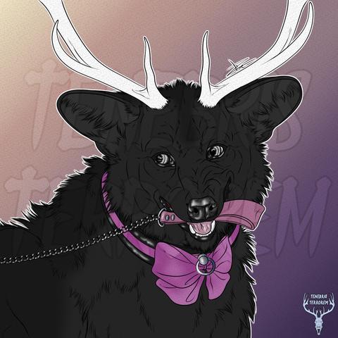 Drawing of a maned wolf like creature smirking wearing a collar, holding in his mouth the other end of a leash tugging on it gently.