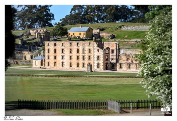 A photograph signed by Kev Peirce of the main ruined Penitentiary building at Port Arthur Historic Site in Tasmania, Australia.

The large, honey coloured stone structure is surrounded by expansive green lawns. A smaller, well-preserved yellow building sits on the green hillside above the ruins.

In the foreground, a dark wooden picket fence and a blossoming white tree on the right frame the view.