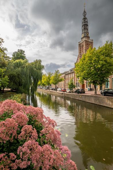 A photograph looking over some flowers down along a canal lined with trees, with the spire of the Heilige Lodewijkkerk rising into the sky on the right.
