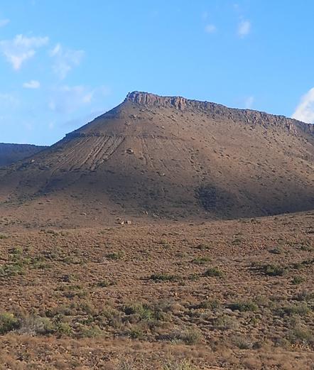 A dry arid landscape with low bushes, dry grasses
Khaki in colour with a mountain on the horizon. The top of the mountain is flat but angled with a tip cap of exposed sandstone