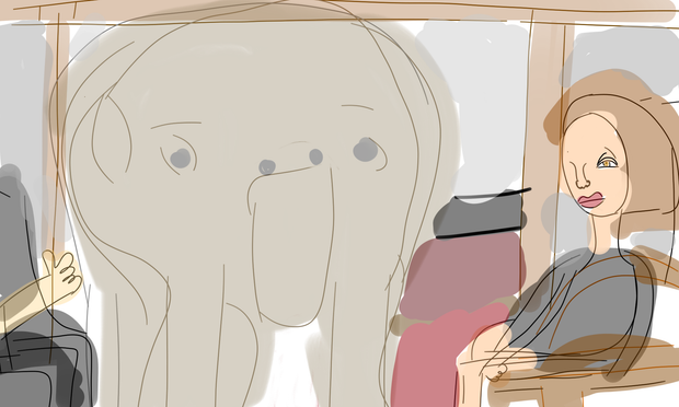 Ally McBeal thinking about the phrase while daydreaming: addressing the elephant in the room