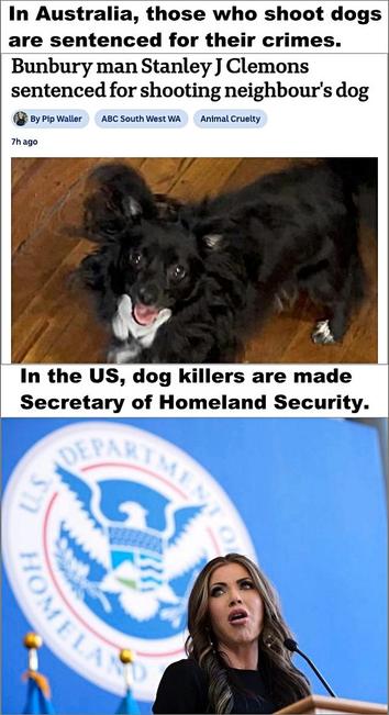 Meme about Kristi Noem shooting her dog Cricket. 