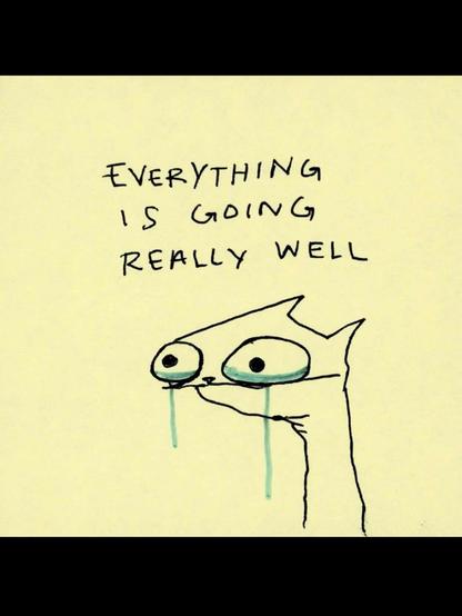 everything is going really well

[a cat illustration and the cat is sobbing]