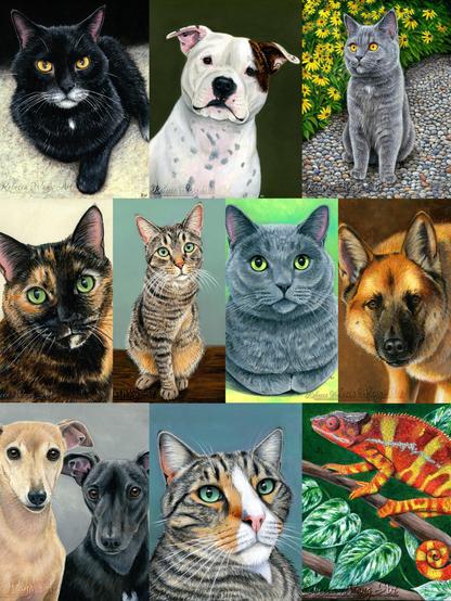 A collection of cat, dog, and chameleon paintings.