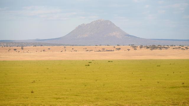 Vulkanähnlicher Hügel in weiter Savannenlandschaft