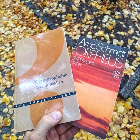 Buch von Arno Schmidt und Klassiker von Crauss