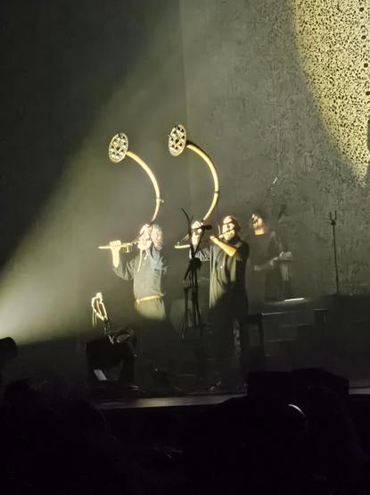 Wardruna in concert