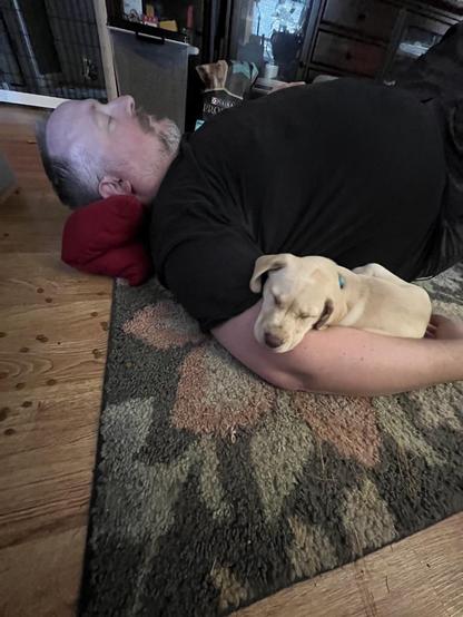 A man is lying on the floor on a carpet with a puppy sleeping ion the crook of his arm. Hell cute