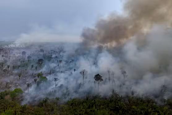 Un incendie volontaire dans la forêt amazonienne aux environs de Labrea, dans l’Etat d’Amazonas (Brésil), le 4 septembre 2024.