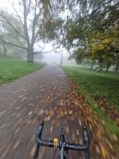 Obraz przedstawia perspektywę z pozycji jadącego na rowerze. Na pierwszym planie widoczne są czarne kierownice roweru, z żółtymi elementami na końcach. Za kierownicami rozciąga się ścieżka rowerowa, pokryta liśćmi. Po obu stronach ścieżki znajdują się trawniki i drzewa. Obraz jest rozmyty, co sugeruje ruch. Na dalszym planie widoczna jest mgła. 