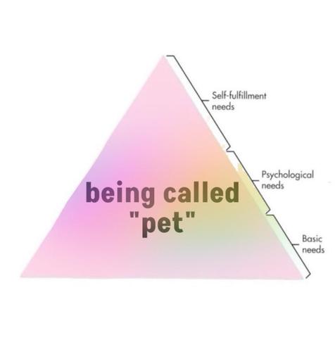Needs pyramid, pink and rainbow coloured. The whole pyramid is filled in, with "being called "pet" ". On the right hand side from top to bottom is written: basic needs, psychological needs, self fulfillment needs.