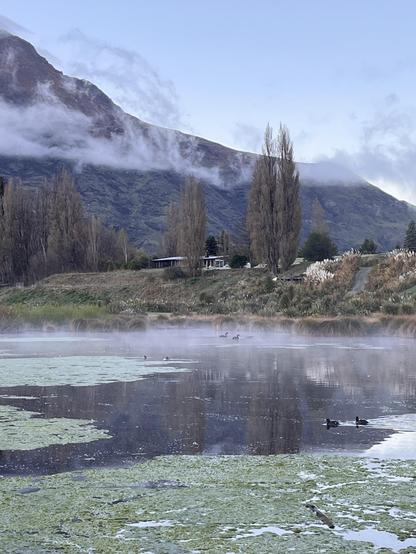 A tranquil lake Hayes scene featuring mist rising from the water, surrounded by green algae. In the background, a mountain is partially obscured by clouds and ducks can be seen in the background. 